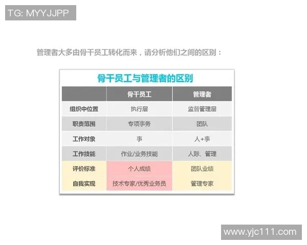 深入探讨上海街舞队的团队配合与表现分析研究